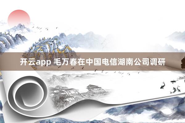 开云app 毛万春在中国电信湖南公司调研