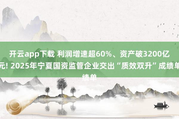 开云app下载 利润增速超60%、资产破3200亿元! 2025年宁夏国资监管企业交出“质效双升”成绩单