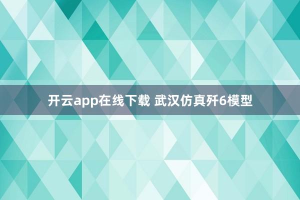 开云app在线下载 武汉仿真歼6模型