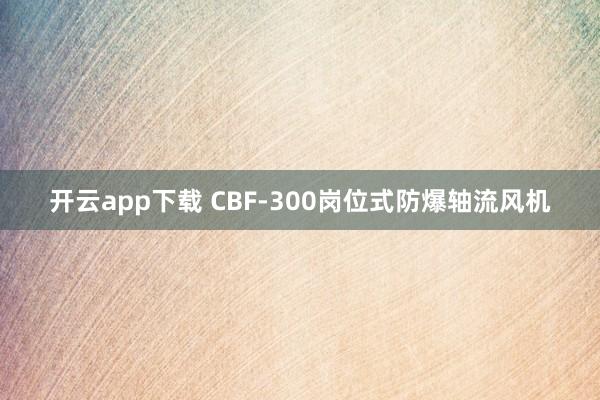 开云app下载 CBF-300岗位式防爆轴流风机