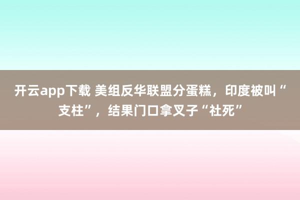 开云app下载 美组反华联盟分蛋糕,印度被叫“支柱”,结果门口拿叉子“社死”