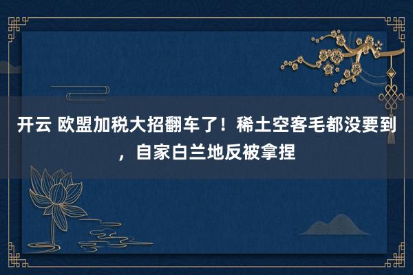 开云 欧盟加税大招翻车了！稀土空客毛都没要到，自家白兰地反被拿捏