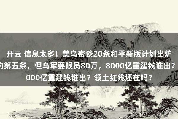 开云 信息太多！美乌密谈20条和平新版计划出炉，安全保障像北约第五条，但乌军要限员80万，8000亿重建钱谁出？领土红线还在吗？