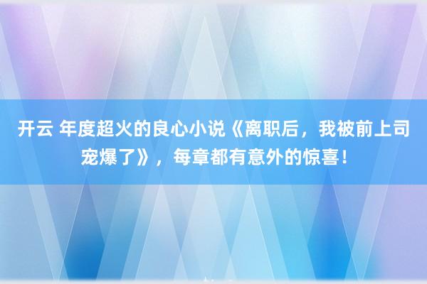 开云 年度超火的良心小说《离职后，我被前上司宠爆了》，每章都有意外的惊喜！