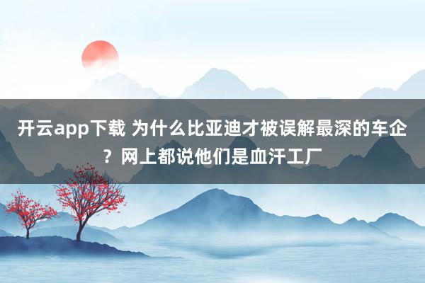 开云app下载 为什么比亚迪才被误解最深的车企？网上都说他们是血汗工厂
