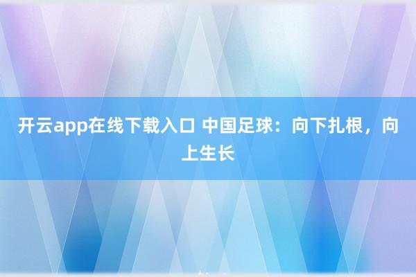 开云app在线下载入口 中国足球：向下扎根，向上生长