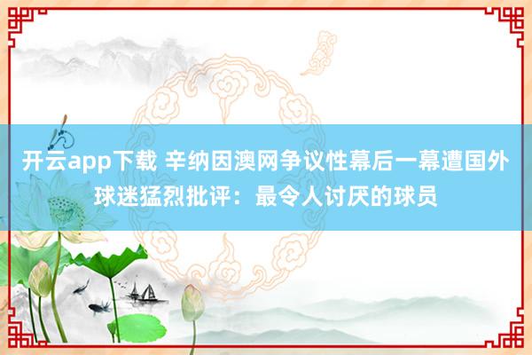 开云app下载 辛纳因澳网争议性幕后一幕遭国外球迷猛烈批评：最令人讨厌的球员