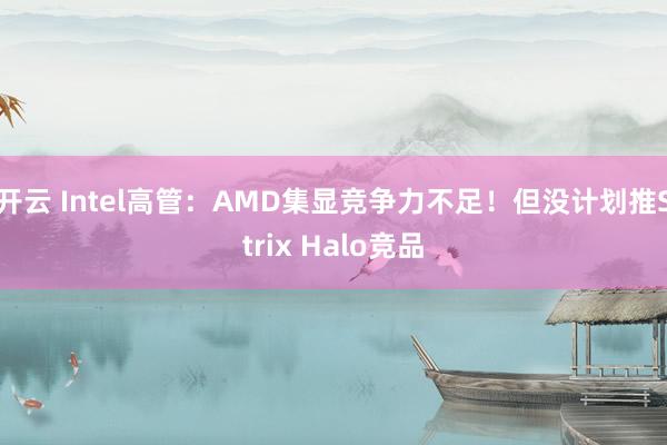 开云 Intel高管：AMD集显竞争力不足！但没计划推Strix Halo竞品