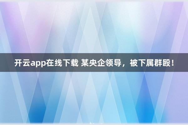 开云app在线下载 某央企领导,被下属群殴!