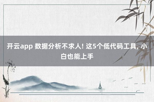 开云app 数据分析不求人! 这5个低代码工具, 小白也能上手