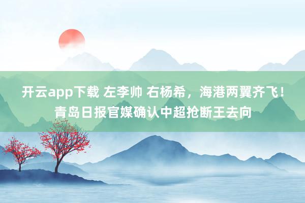 开云app下载 左李帅 右杨希，海港两翼齐飞！青岛日报官媒确认中超抢断王去向
