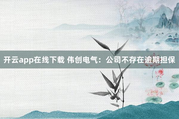 开云app在线下载 伟创电气：公司不存在逾期担保