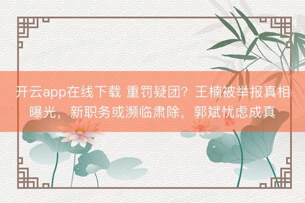开云app在线下载 重罚疑团？王楠被举报真相曝光，新职务或濒临肃除，郭斌忧虑成真